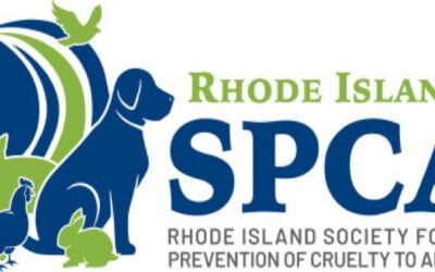 RISPCA arresta a dos personas por peleas de gallos y crueldad animal