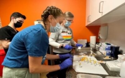 EEUU declara emergencia de salud pública por la viruela del mono