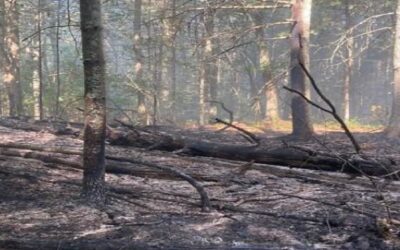 DEM prohíbe a partir del sábado fogatas en campamentos y parques estatales