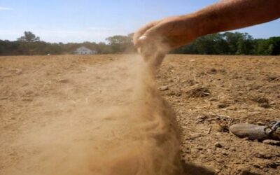 Agricultures de Rhode Island afectados por sequía pueden solicitar ayuda federal