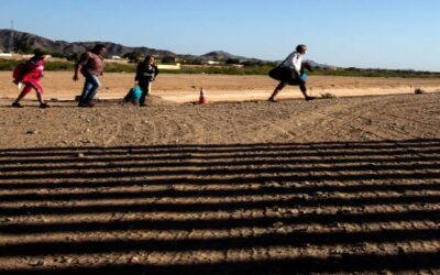 Coyotes cobran $12,500 dólares por llevar a migrantes a EE.UU.