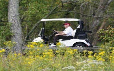 Abogados de Trump: Investigación de documentos es infundada