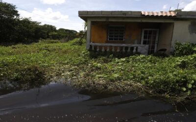 Maratón de 24 horas en Nueva York recaudará fondos para damnificados de Puerto Rico
