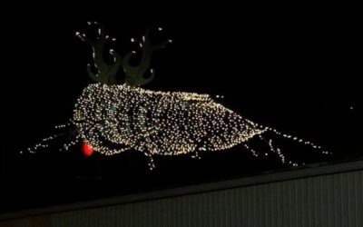 Big Blue Blug se iluminará nuevamente esta noche, por trigésimo año.