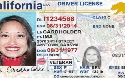 5 aspectos clave sobre la REAL ID que ya tiene nueva fecha para ser obligatoria al viajar en Estados Unidos
