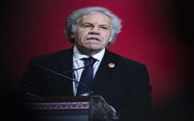 EEUU apoya pedidos de investigación externa a jefe de la OEA