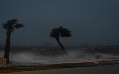 Más de 190,000 clientes sin luz en Florida luego de que Nicole tocara tierra como huracán categoría 1 esta madrugada