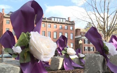 Informe: 26 víctimas murieron en incidentes de violencia doméstica en un período de 4 años