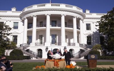 Biden indulta a dos pavos por Acción de Gracias y bromea sobre las elecciones