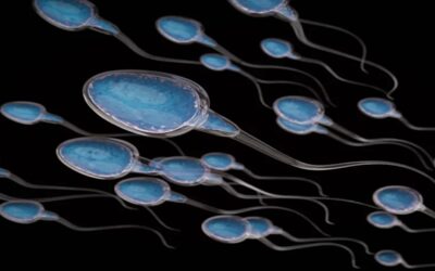 5 razones por las que hay una caída en la cantidad de espermatozoides en todo el mundo