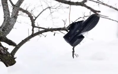 Buffalo prevé hallar más víctimas de la tormenta invernal