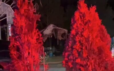 Incendio en Foster destruye un garaje