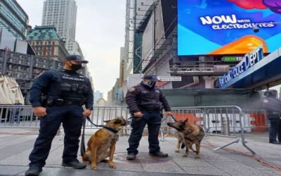 La Gran Manzana se prepara para una gran fiesta de Año Nuevo en Times Square, sin ningún tipo de restricciones