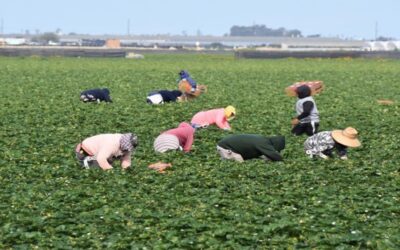 Nueve años de cárcel a contratista por explotación de inmigrantes en EEUU