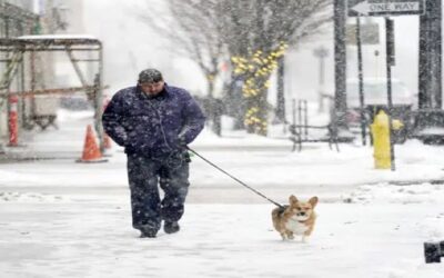 Aire ártico azotará gran parte de EEUU antes de Navidad