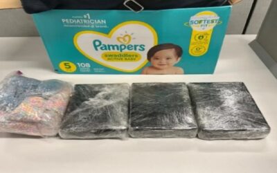 Traficaban droga en pañales de bebé en Nueva York: latino arrestado en estacionamiento de restaurante Wendy’s junto a su niña