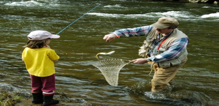 Comer un pescado de ríos o lagos de EE.UU. equivale a beber agua contaminada por 30 días: estudio