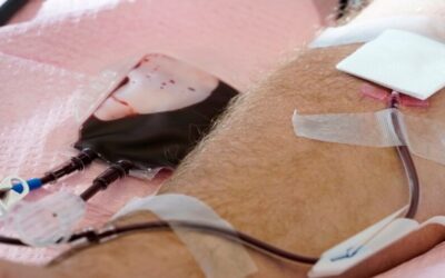 La FDA busca reducir restricciones para la donación de sangre de hombres gay
