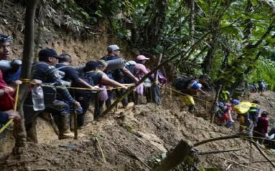 Casi 250.000 migrantes cruzaron selva del Darién en 2022