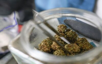 Rhode Island iniciará proceso de cancelación de condenas por marihuana