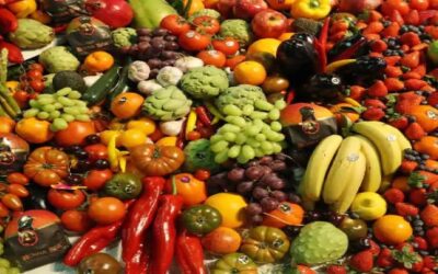 La mitad de los niños estadounidenses no consumen frutas ni verduras, revela informe