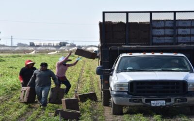 Alientan a indocumentados víctimas de abuso laboral a acogerse a protección