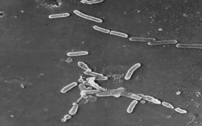 EEUU retira gotas oculares EzriCare por brote infeccioso