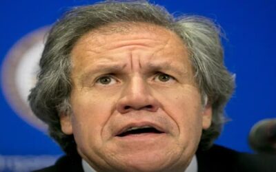 Jefe de la OEA hizo 34 viajes con empleada que era su pareja