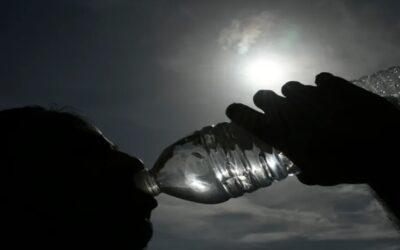 Científicos piden a embarazadas dejar de tomar agua en botellas de plástico para no contaminar al feto