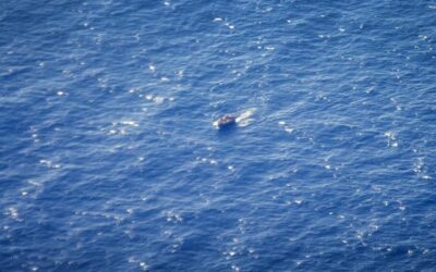 Detienen a 16 indocumentados en aguas de Puerto Rico al llegar en una barcaza