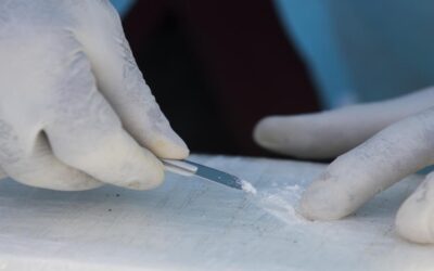 Decomisan 339 kilos de cocaína y arrestan a 35 personas en Florida