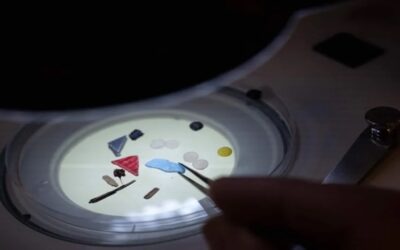 Médicos advierten que pequeñas partículas de plástico también llegan al cerebro a través de la comida