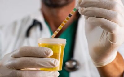 Qué causa las infecciones urinarias y cómo prevenirlas