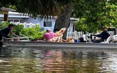 Presidente Biden declara desastre en Florida por tormentas y tornados