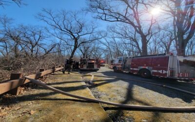 Autoridades investigan causa incendio forestal en Parque Neutaconkanut.