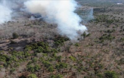Incendio forestal quema más de 150 acres en West Greenwich