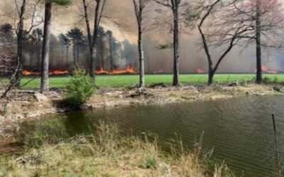 Autoridades levantan orden evacuación en Exeter por incendio forestal