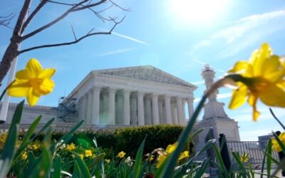 La Corte Suprema dictamina que la píldora abortiva mifepristona puede seguir en el mercado por ahora