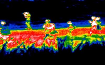 Texas empuja “unidad de protección fronteriza” para detener a inmigrantes ante el fin del Título 42