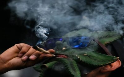 La marihuana podría estar detrás del 30% de los casos de esquizofrenia en hombres jóvenes