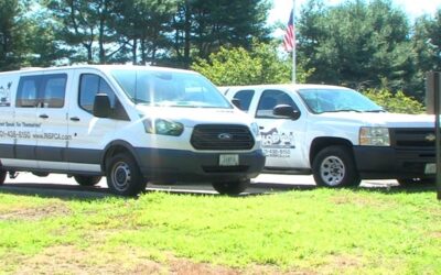 34 perros son rescatados de vivienda en condición deplorable.