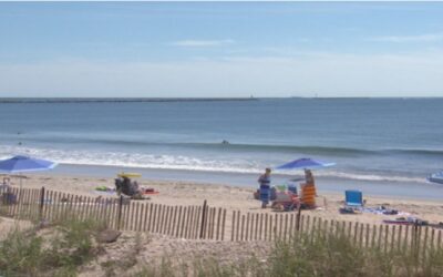Arena, sol y mar, desde hoy playas estatales abiertas al público.