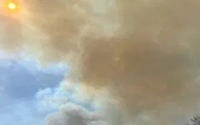 ALERTA DE CALIDAD DEL AIRE: si tiene problemas respiratorios manténgase en el interior