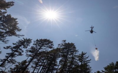 Costa Rica envía bomberos para apoyar a Canadá en el combate de los incendios forestales