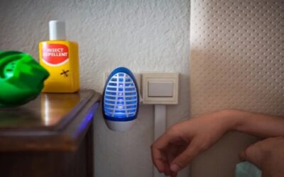 Cómo escoger el repelente de mosquitos más saludable