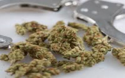 Poder Judicial Rhode Island elimina más de 20 mil casos de marihuana