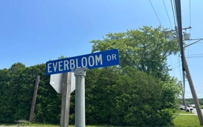 Hombre de Johnston enfrenta cargos de armas de fuego luego de que federales allanan su casa.