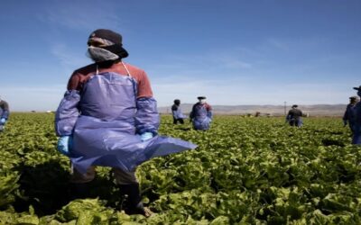 Organizaciones proinmigrantes anuncian la primera demanda contra la ley antiinmigrante de Florida