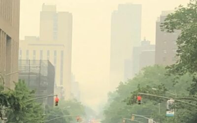 Humo de incendios forestales: aprender a vivir con la mala calidad del aire