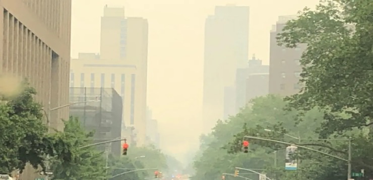Humo de incendios forestales: aprender a vivir con la mala calidad del aire
